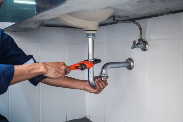 Best Clogged Drain Plumber  in Mccordsville, IN